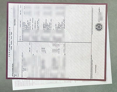 TAMU Academic record