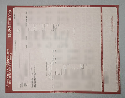 University of Minnesota Academic record