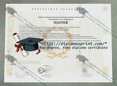 Aix-Marseille University Credentials