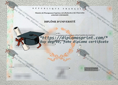 Avignon University Credentials