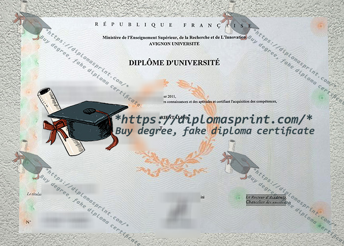 Avignon University Diploma