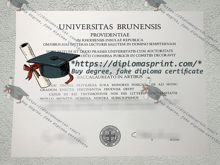 Brown University Degree