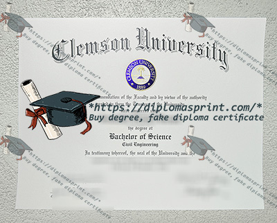 Clemson University Credentials
