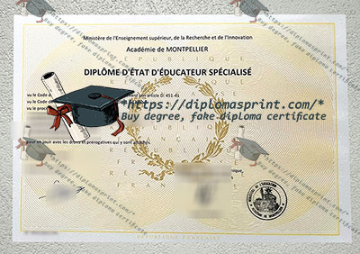 Diplôme d'État d'éducateur Specialise