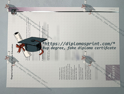 Fontys University of Applied Sciences Qualification Credentials