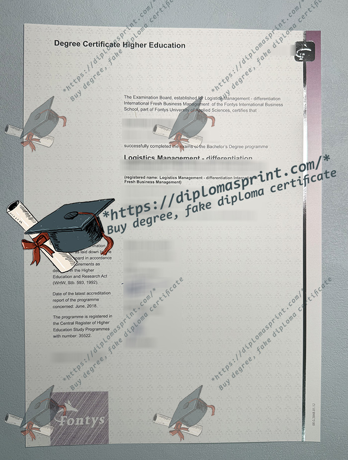 Fontys Hogeschool Degree Certificate