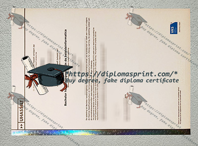 Hasselt University Credentials