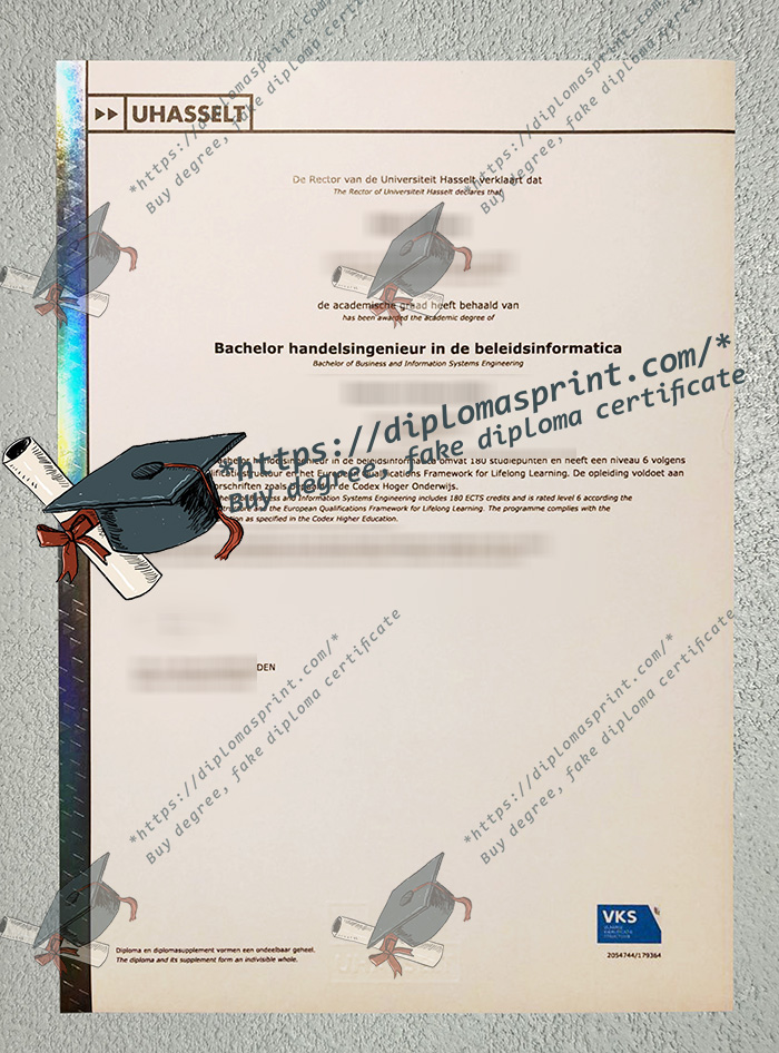 Hasselt University Credentials