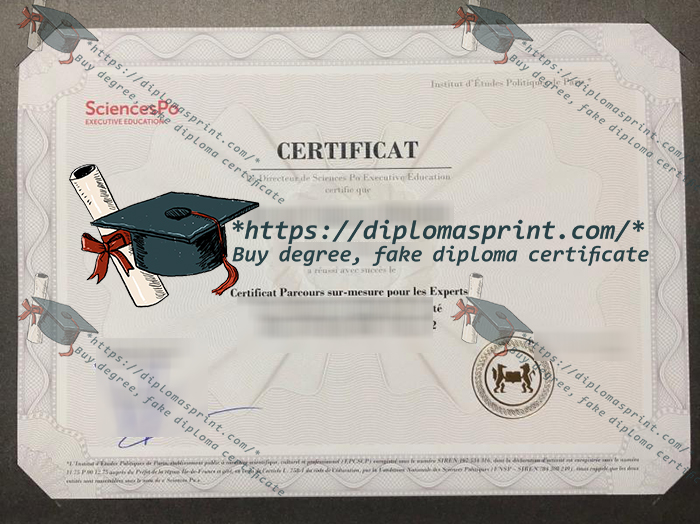Institut d'études politiques de Paris Certificate, IEP Certificate
