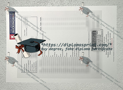University of Buckingham Academic record