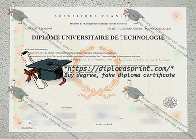 Université D'Artois Credentials