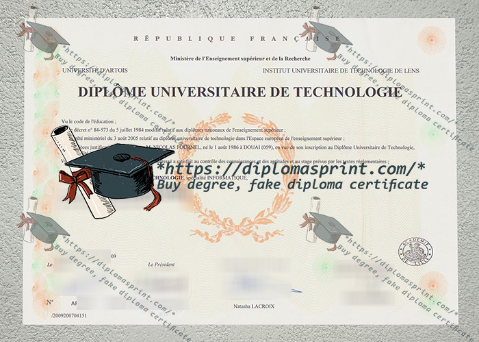 Université D'Artois Credentials
