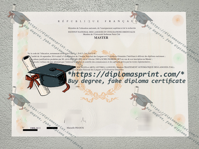 Institut National Des Langues et Civilisations Orientales Diplôme, INALCO Diploma