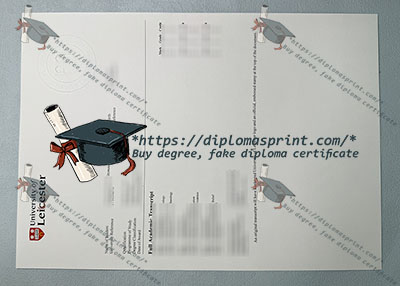University of Leicester Academic record