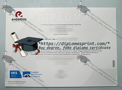 Erasmushogeschool Brussel Credentials