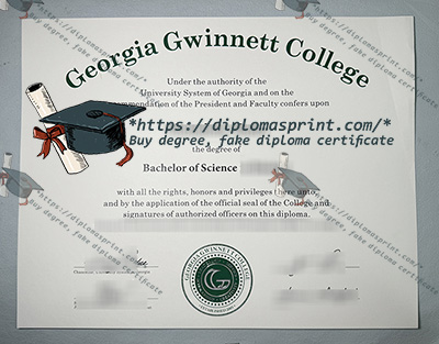Georgia Gwinnett College Credentials