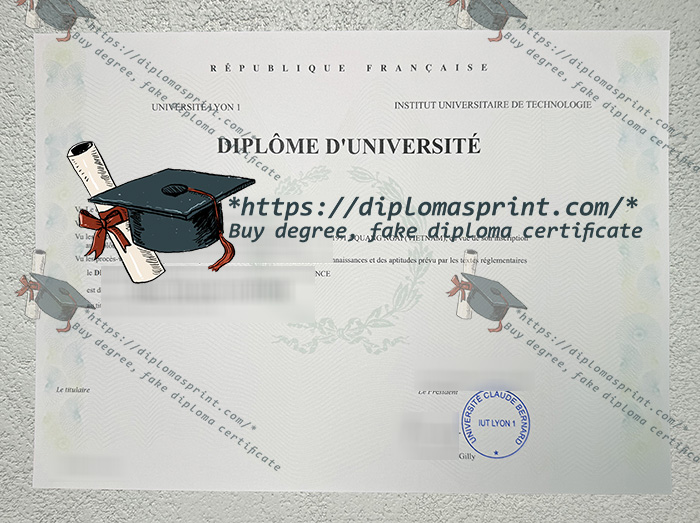 Université Lyon I Diplôme