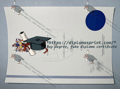 Kingston University Credentials