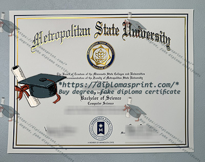Metro State Credentials