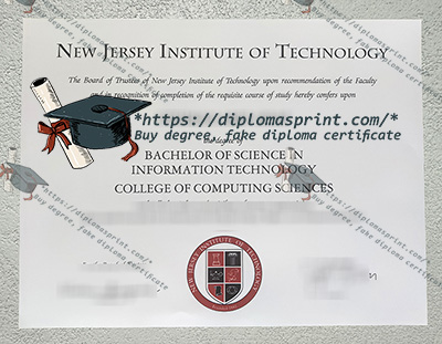 NJIT Credentials