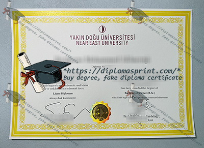 Near East University Credentials