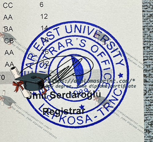 Near East University Academic record seal