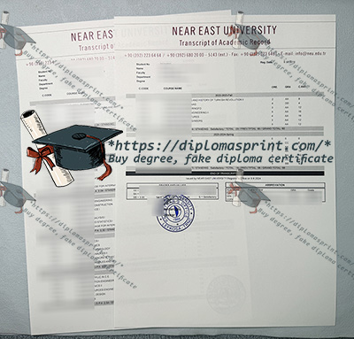 Near East University Academic record