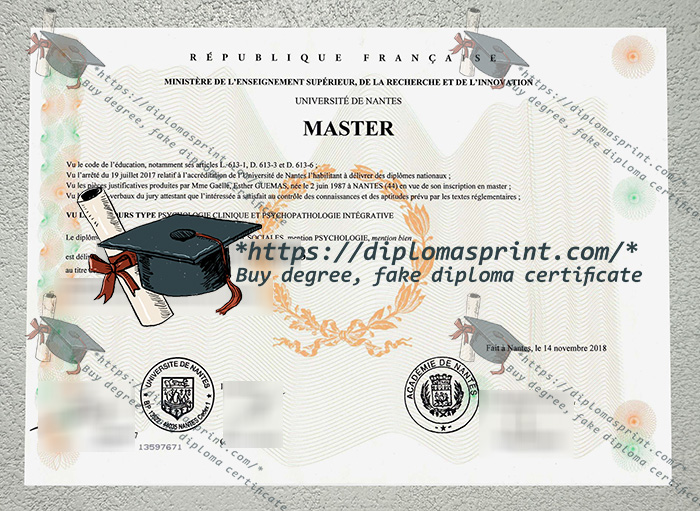Université de Nantes Diplôme