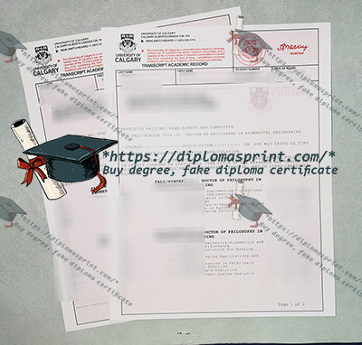 University of Calgary Academic record