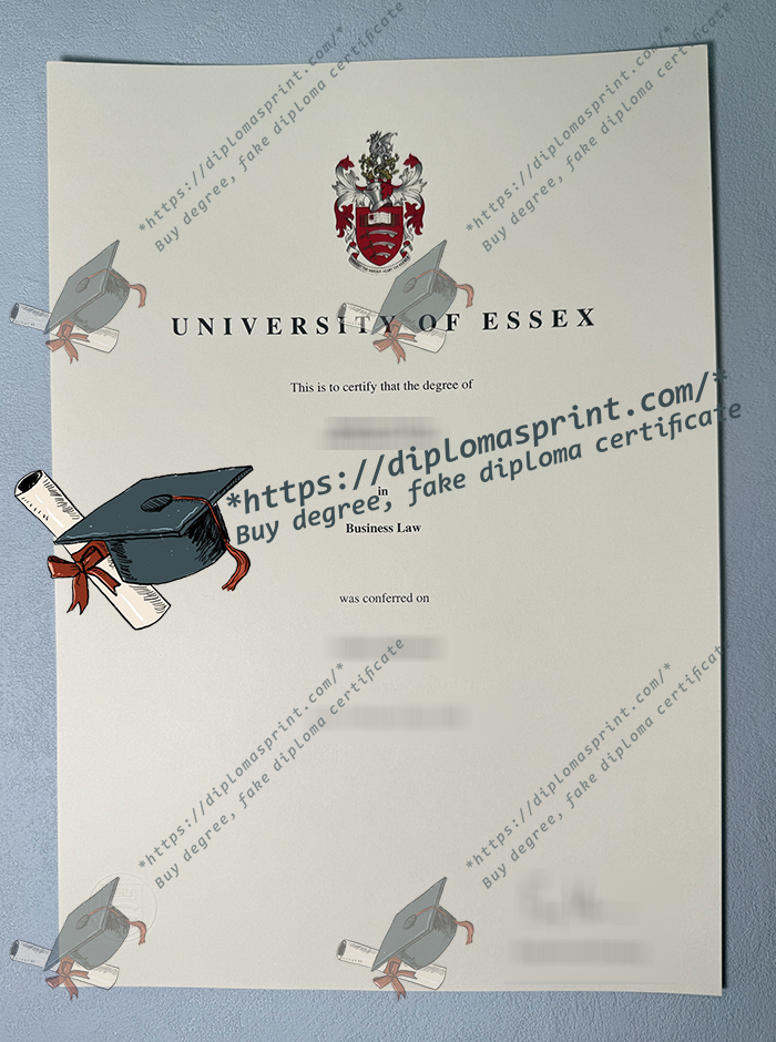 University of Essex Degree