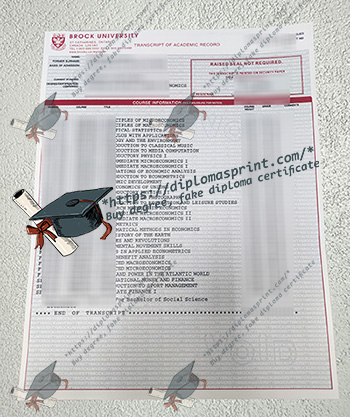 Brock University Academic record