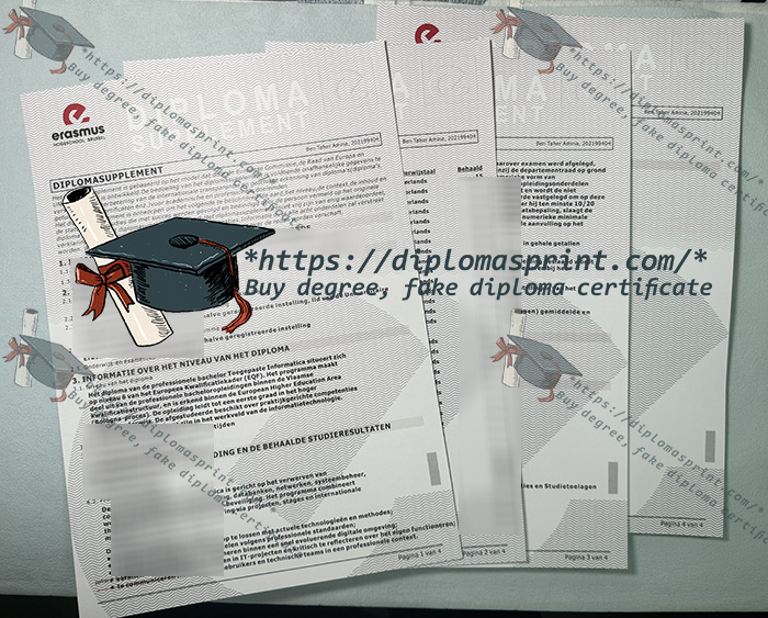 Erasmushogeschool Brussel Diploma Supplement, EhB Transcript