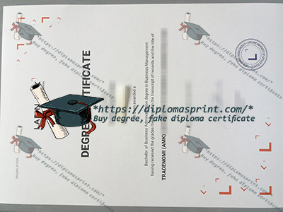 Lapin AMK Qualification Credentials
