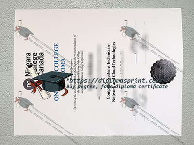 Niagara College Credentials