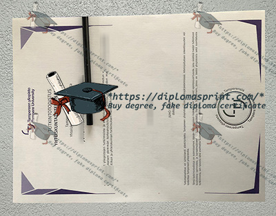 Tampereen yliopisto Degree Certificate