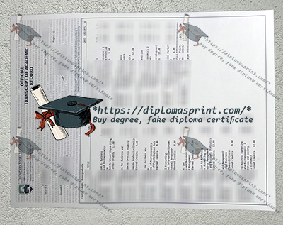 Thompson Rivers University Academic record