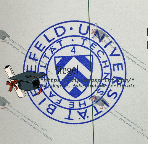 Bielefeld University Credentials