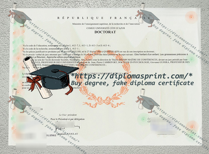 Université Côte-d'Azur Diploma