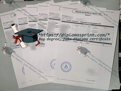 Paris-IV Academic record