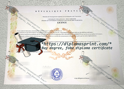 Université Toulouse III - Paul Sabatier Credentials