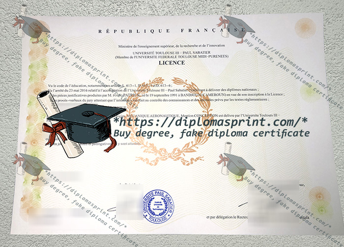 Université Toulouse III - Paul Sabatier Diploma