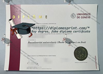 University of Geneva Credentials