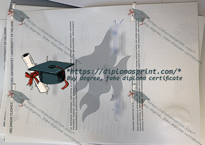 University of Helsinki Qualification Credentials