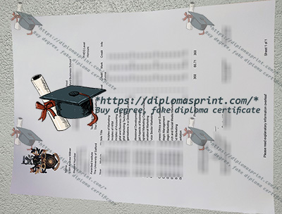 University of Salford Academic record