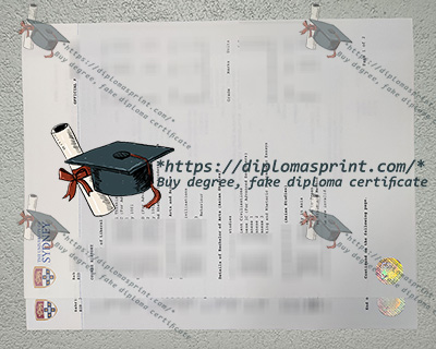 USYD Academic record