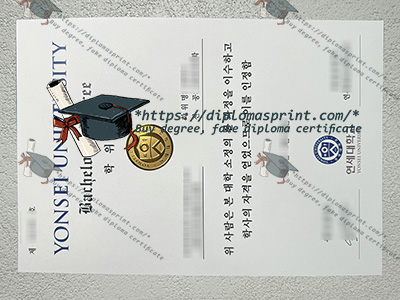 Yonsei University Credentials