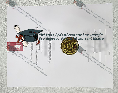 Brock University Credentials