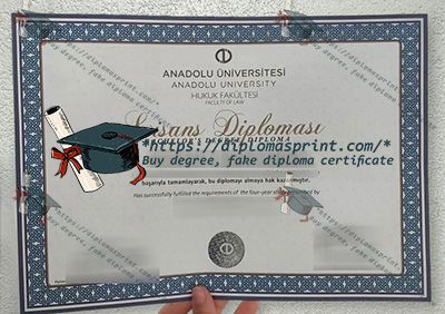 Anadolu University Credentials