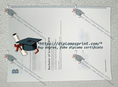 Bern University of Applied Sciences Credentials