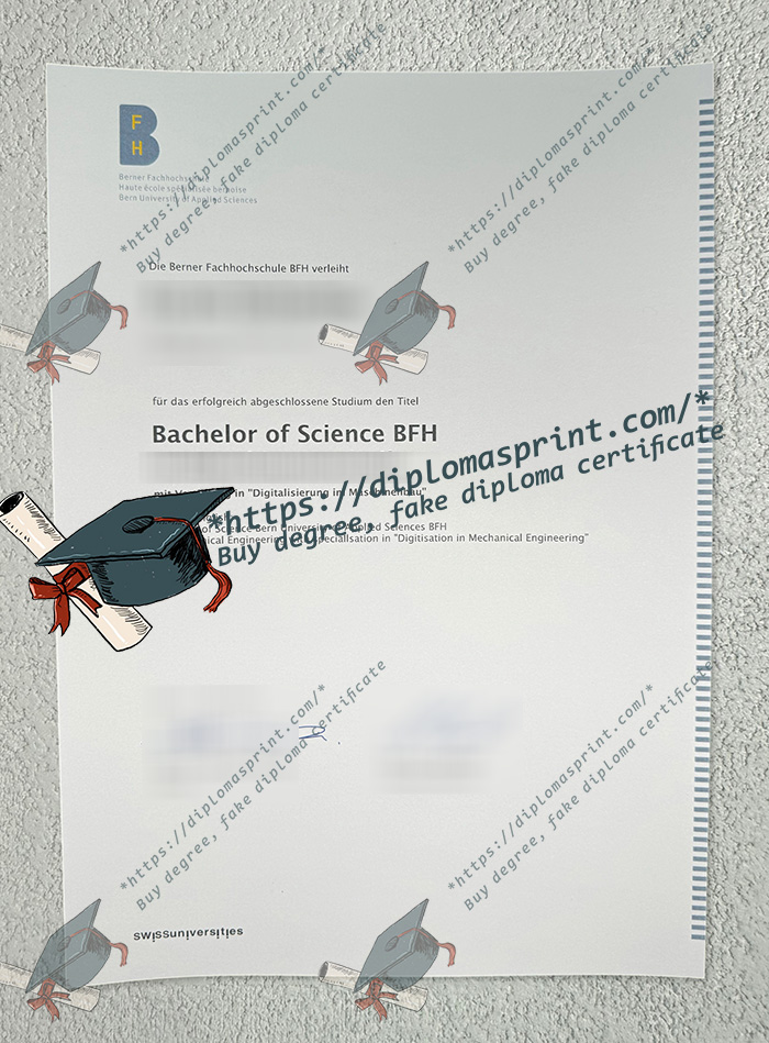 Bern University of Applied Sciences Diploma, BUAS Diploma